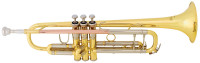 Труба Bach TR-500 Bb
