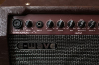 E-WAVE AE-30 комбик для акустической гитары 30 Вт