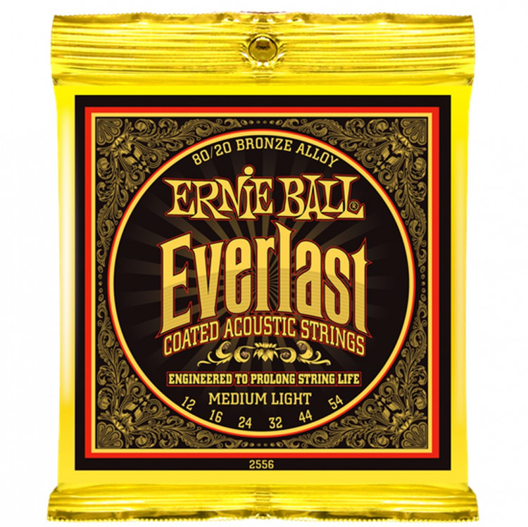 Комплект струн для акустической гитары Ernie Ball P02556, 12-54