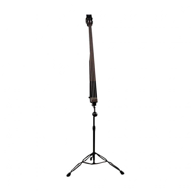 Dean Paceb CBK Upright pace - электроконтрабас