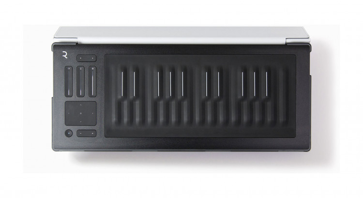 ROLI FLIPCASE SILVER защитный кейс для RISE 25