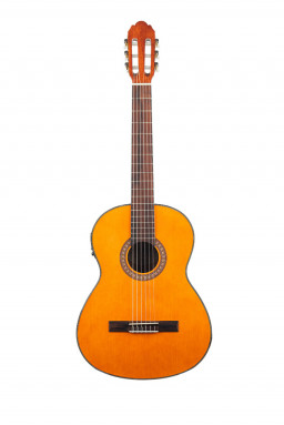 GEWA E-Acoustic Classic 4/4 классическая гитара со звукоснимателем GEWA E-Acoustic Classic 4/4 классическая гитара со звукоснимателем
