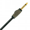 Кабель инструментальный PLANET WAVES PW-AG-10 3,05 м