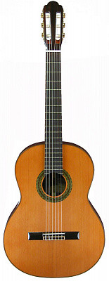 Aria A-100C 4/4 классическая гитара Aria A-100C 4/4 классическая гитара