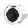 Громкоговоритель Tannoy CVS 601 потолочный с колпаком