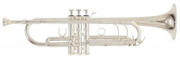 Труба Roy Benson TR-402S Bb