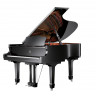 Sam Martin GP-158 Black Акустический рояль