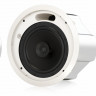 Громкоговоритель Tannoy CVS 801 потолочный с колпаком