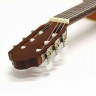 PRO ARTE GC 240 II 4/4 классическая гитара