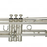 Труба Brahner TR-315 SP Bb