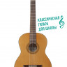 Cordoba IBERIA C3M 4/4 классическая гитара