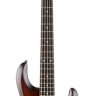 Sterling by MusicMan RAY5WS/R бас-гитара