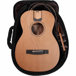 FURCH LJ 10-CM акустическая гитара FURCH LJ 10-CM акустическая гитара