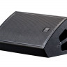 DAS Audio Action M12 Монитор сценический пассивный