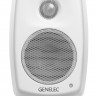 Акустическая система активная Genelec G One BW двухполосная