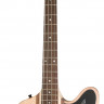 Epiphone THUNDERBIRD PRO-IV (4-string) NO бас-гитара