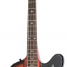 Epiphone THUNDERBIRD PRO-IV (4-string) VS бас-гитара