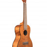 KALA KA-CEM Kala Concert Exotic Mahogany Ukulele укулеле-концерт