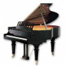 Samick SIG61DL EBHP - рояль 102x151x185