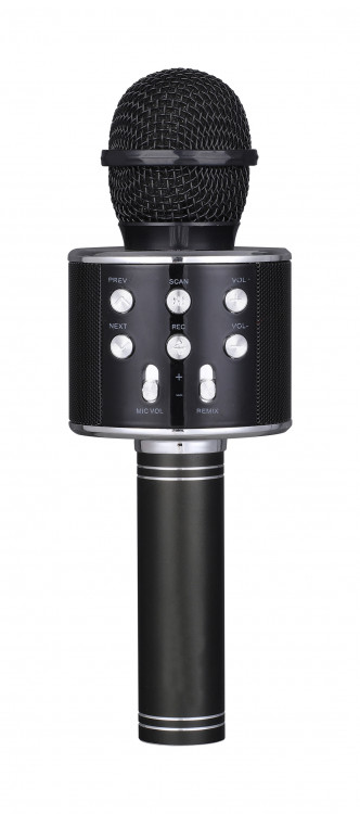 Беспроводной микрофон FunAudio G-800 Black поддержка файлов: MP3 WMA, рабочее время 5-8 часов черный
