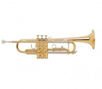 Труба Bach TR-200 Bb